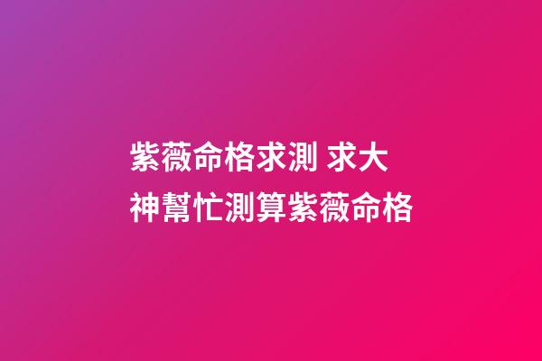 紫薇命格求測 求大神幫忙測算紫薇命格-第1張-觀點-玄機派